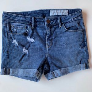 Treasure & Bond mid-rise and skinny jean shorts